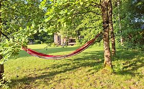 Tiny Gaumaise - Tiny House A Saint-Leger